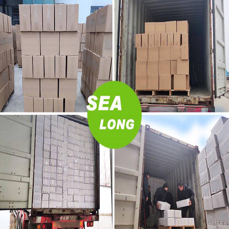sealong container transportation