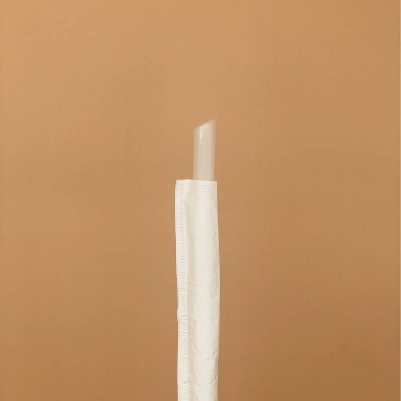 Custom packaging plastic straws