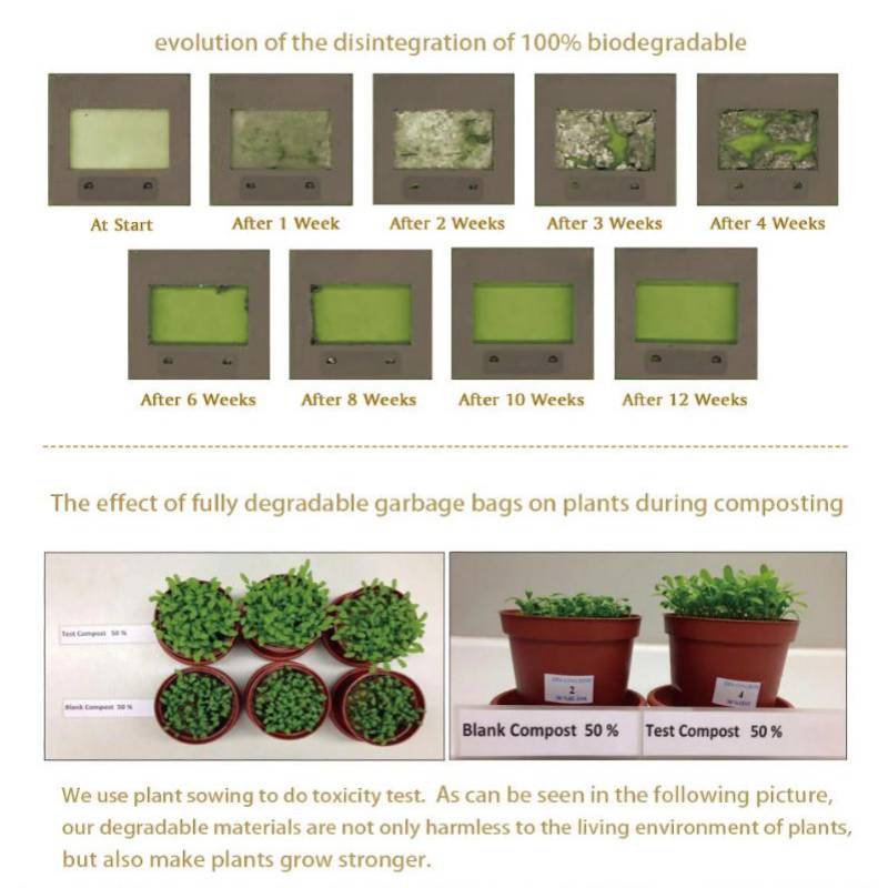 Degradation process experiment