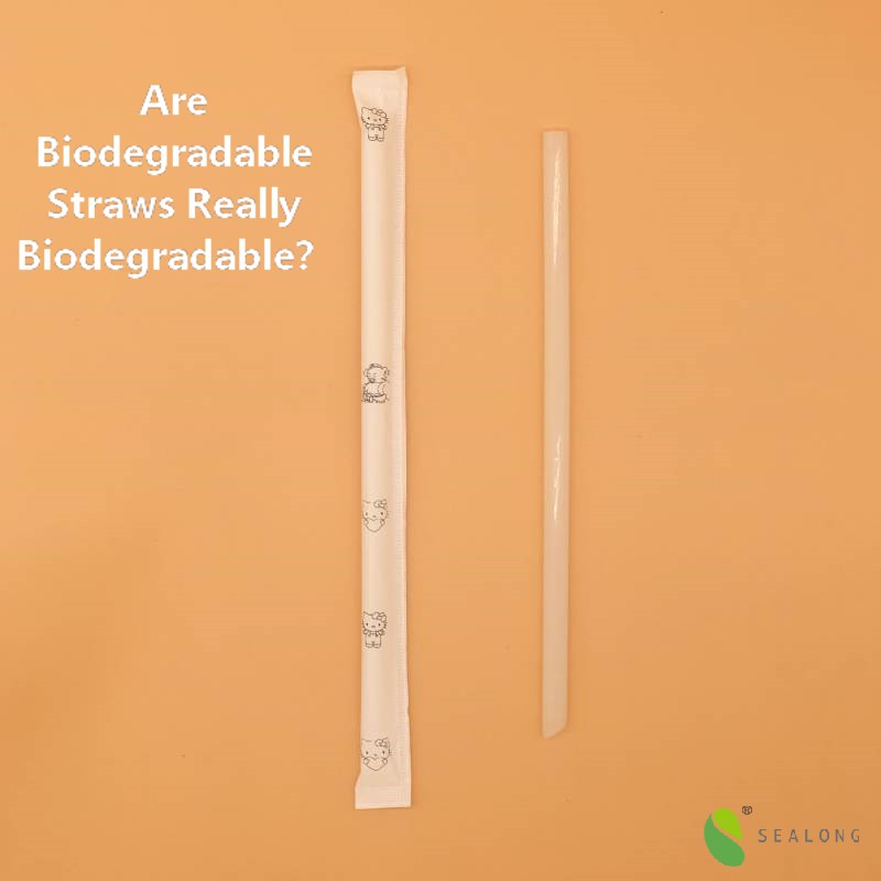 Are Biodegradable Straws Really Biodegradable？