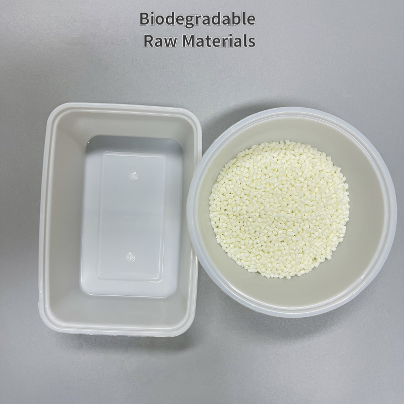 Biodegradable Meal Box Raw Materials