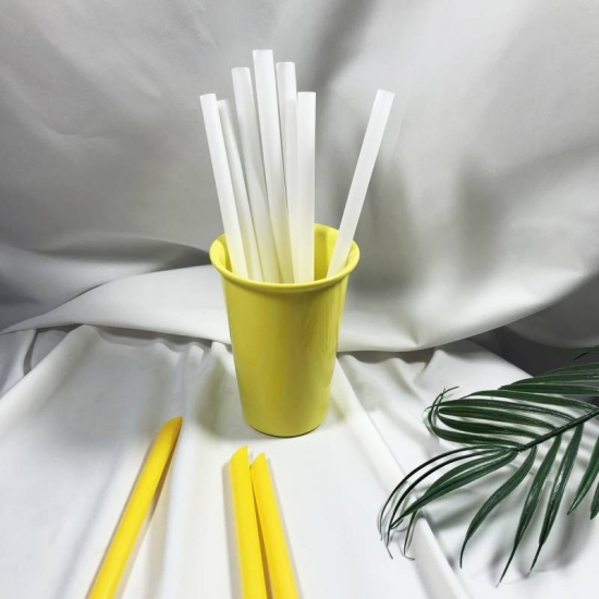 OEM/ODM Compostable Disposable Plastic Disposable