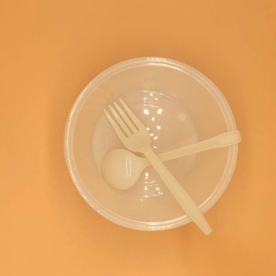 Biodegradable Reusable Disposable Plastic Lunch Box