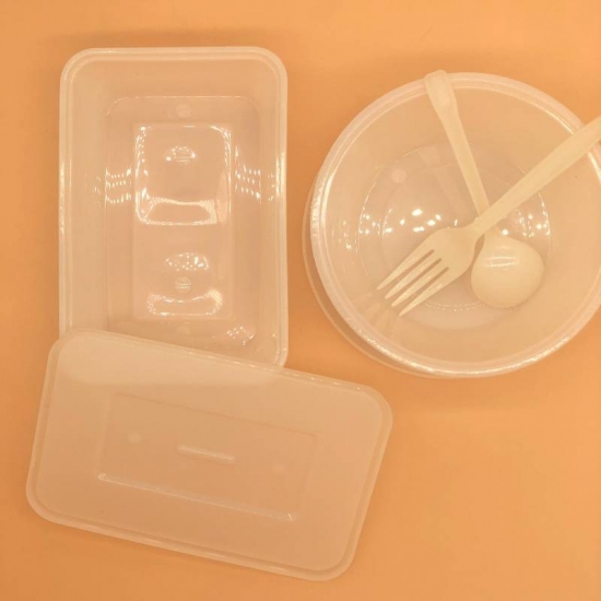 Compostable Disposable Bento Lunch Box