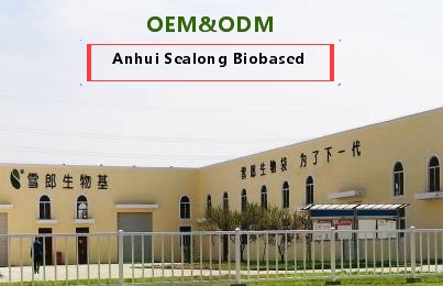 Sealong Biobased Factory and Production Process of Biodegradable Plastic Bags