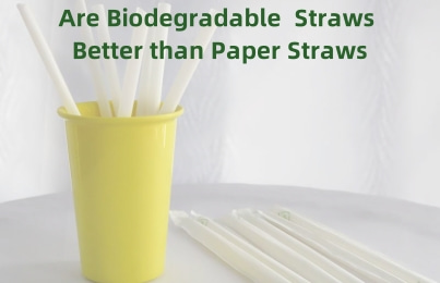 ​​Are Biodegradable Plastic Straws Better than Paper Straws